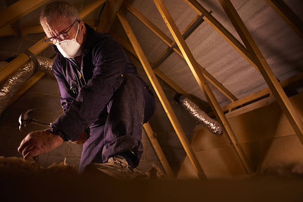 Best Commercial Insulation in Osborne, KS